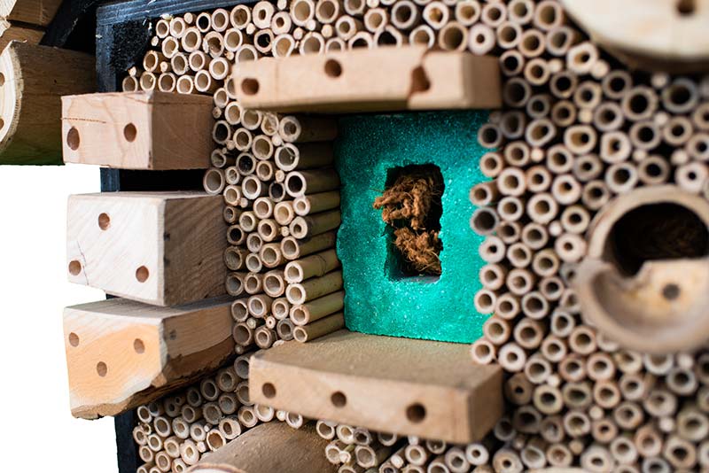 Insectenhotel 'De Weidebij' - Afbeelding 2