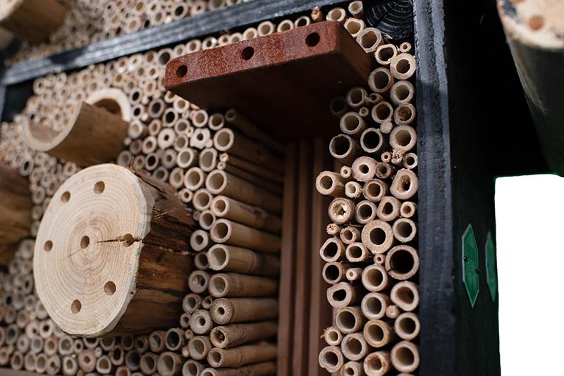 Insectenhotel 'De Koekoekshommel' - Afbeelding 2