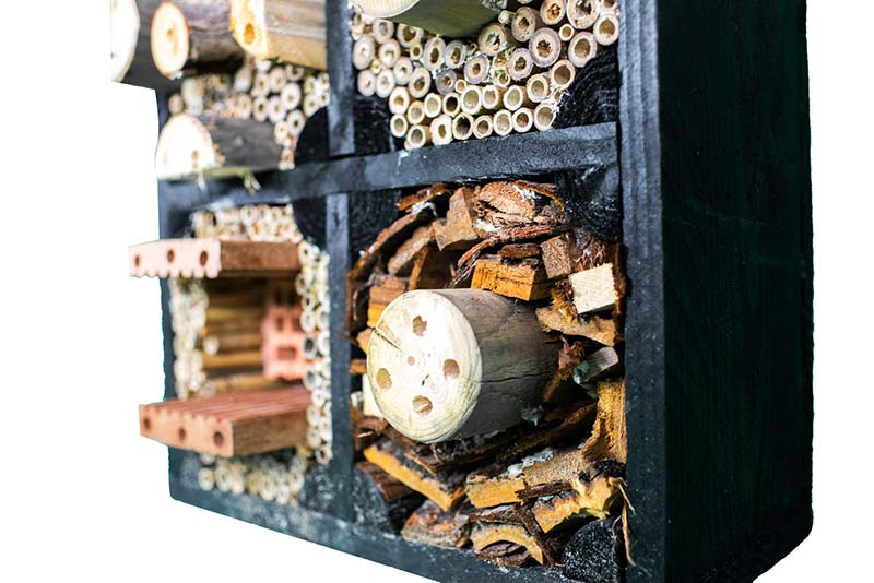 Insectenhotel 'De Maskerbij' - Afbeelding 3