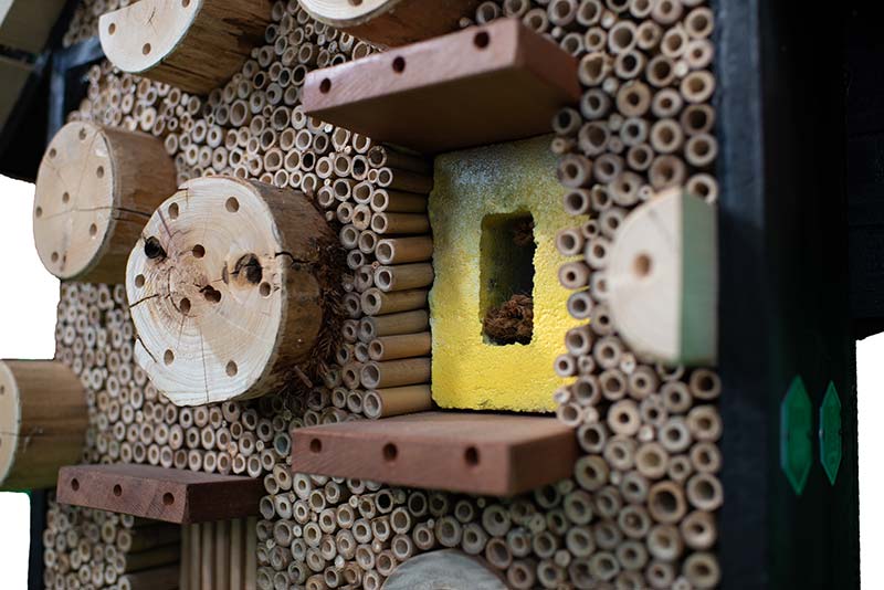 Insectenhotel 'De Gestippelde Bij' - Afbeelding 3