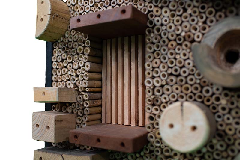 Insectenhotel 'De Gestippelde Bij' - Afbeelding 2