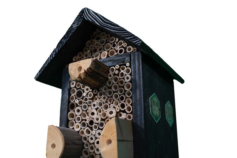 Insectenhotel ‘De Blauwe Bij' - Afbeelding 2