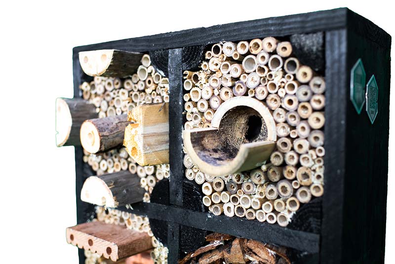 Insectenhotel 'De Maskerbij' - Afbeelding 2