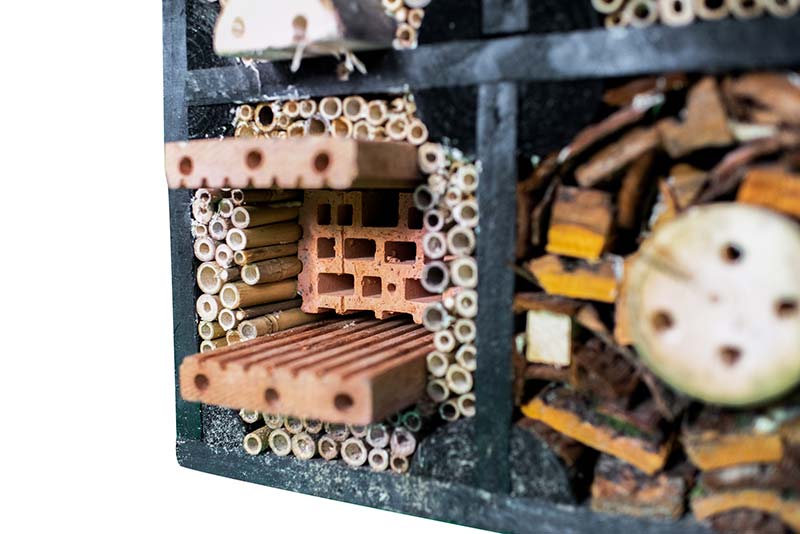 Insectenhotel 'De Maskerbij' - Afbeelding 4
