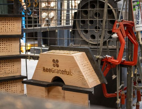 Samenwerking met Beegrateful: samen voor een wereld die groeit en bloeit!