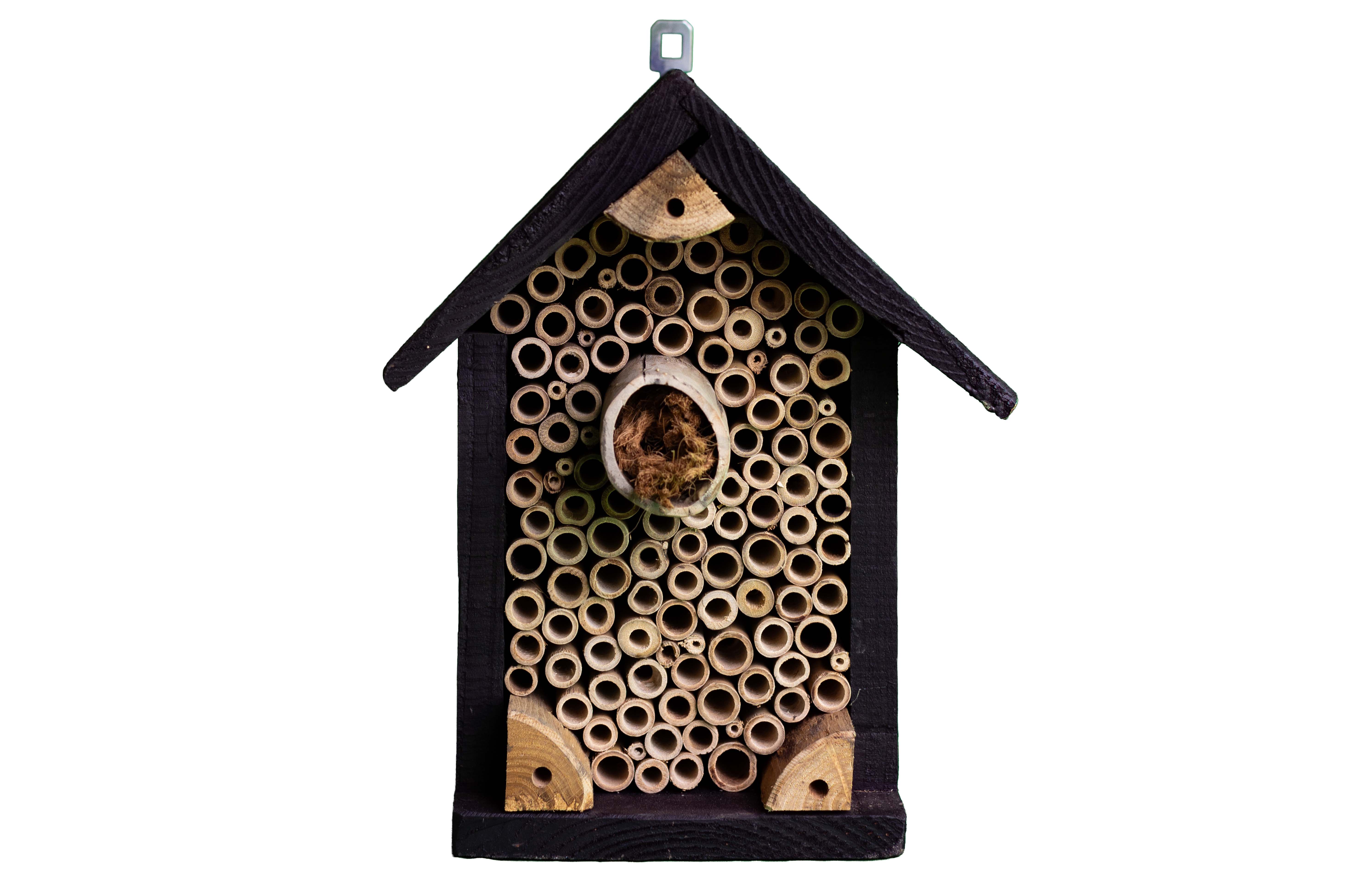 Insectenhotel 'De Klokjesbij'