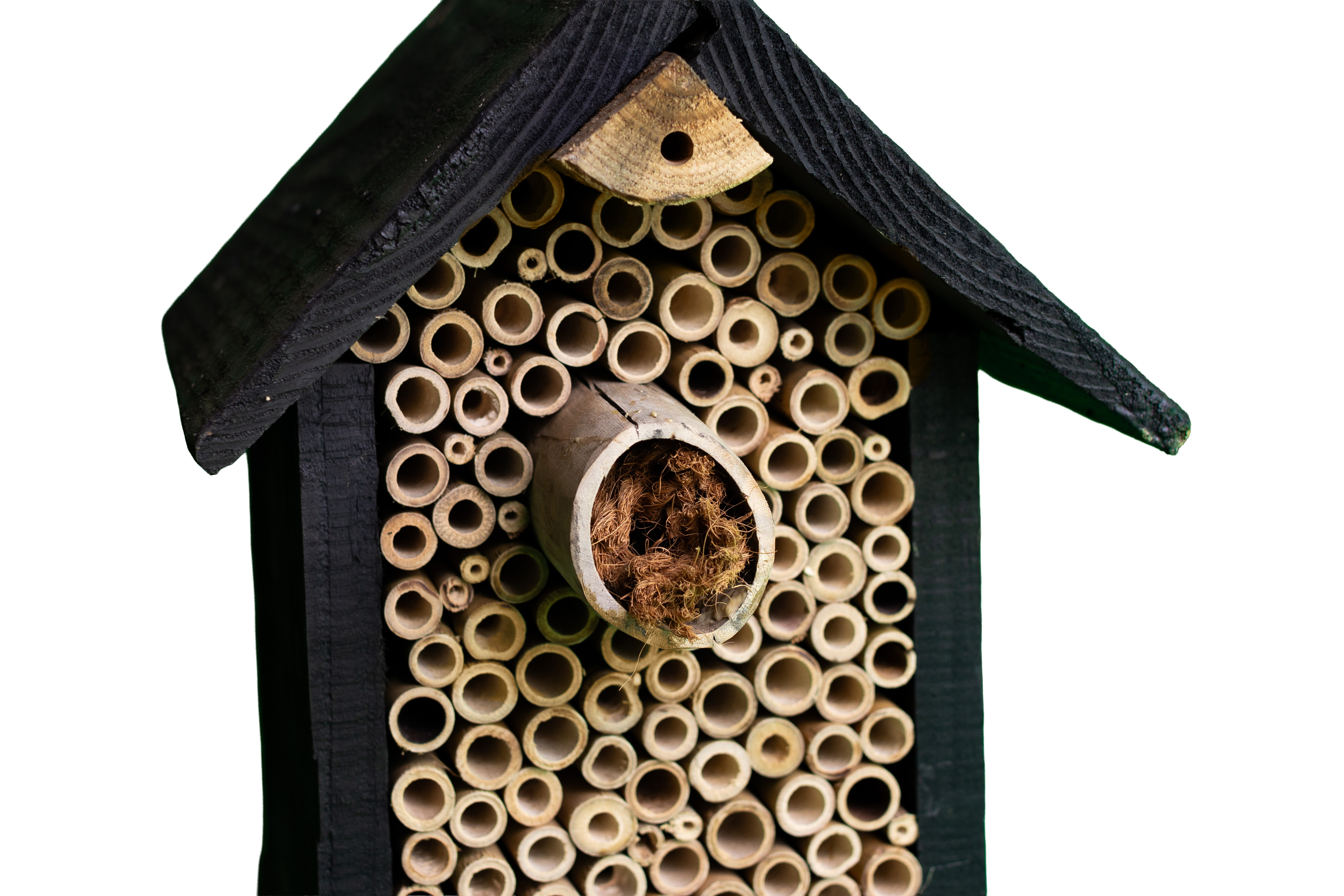 Insectenhotel 'De Klokjesbij' - Afbeelding 3